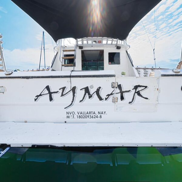 Yate aymar00003 600x600