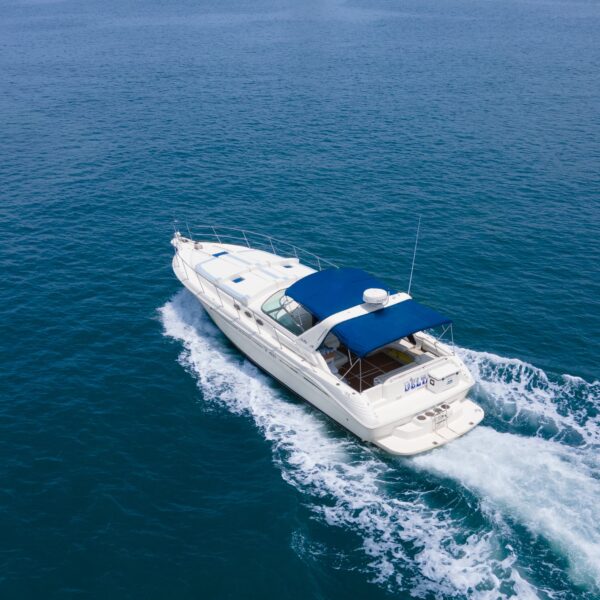 Delta aka yachts00019 600x600