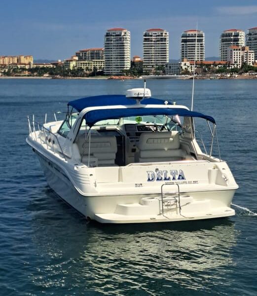 Delta aka yachts00020 521x600