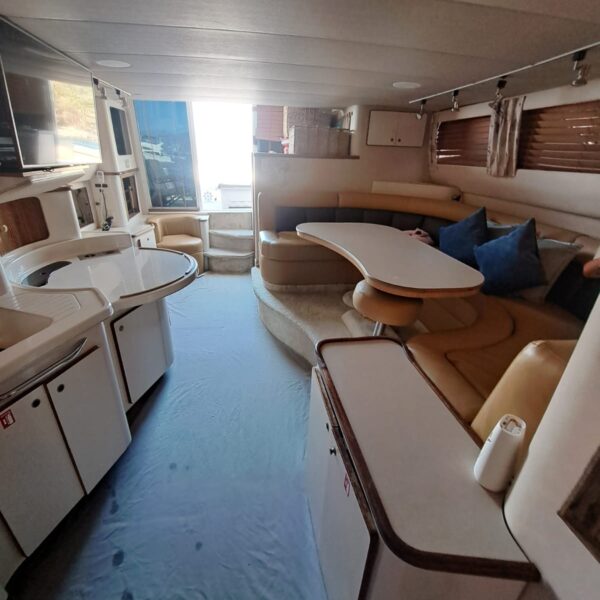 Why not00008 600x600