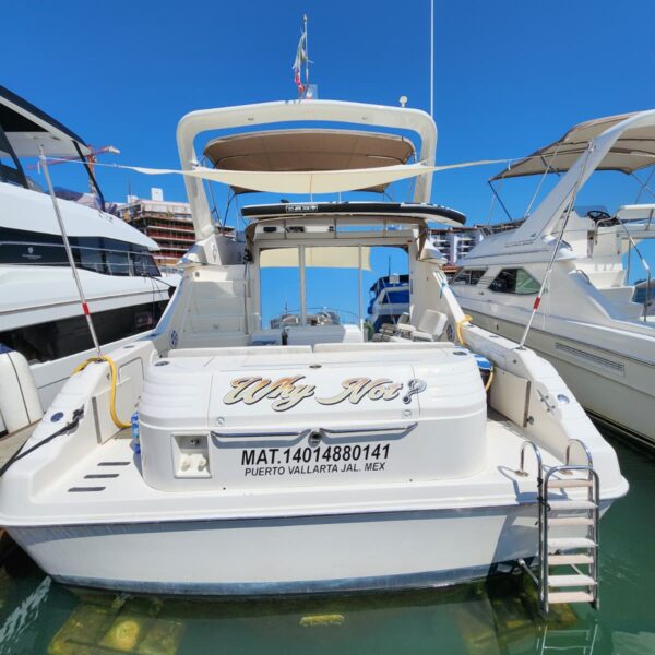 Why not00010 600x600