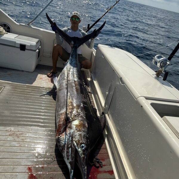 Yate magic moments00021 de tamano grande 600x600